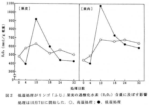 図2.低温処理がリンゴ「ふじ」果実の過酸化水素(H2O2)含量に及ぼす影響