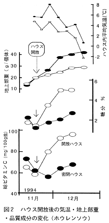 図2.ハウス開放後の気温・地上部重・品質成分の変化(ホウレンソウ)