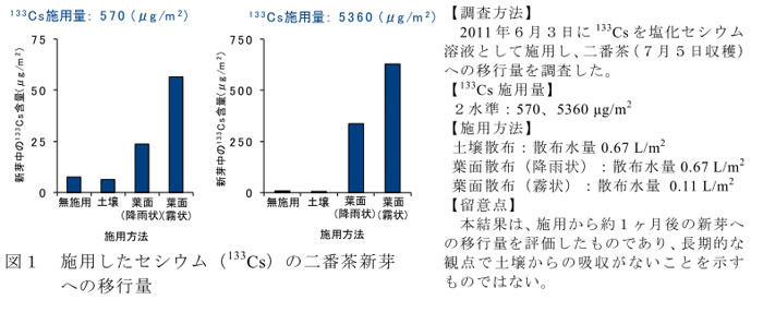 図1 施用したセシウム(133Cs)の二番茶新芽への移行量