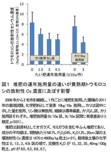 図1 堆肥の連年施用量の違いが黄熟期トウモロコシの放射性Cs濃度に及ぼす影響