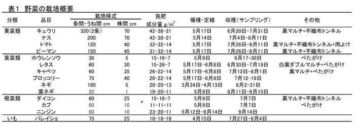 表1 野菜の栽培概要