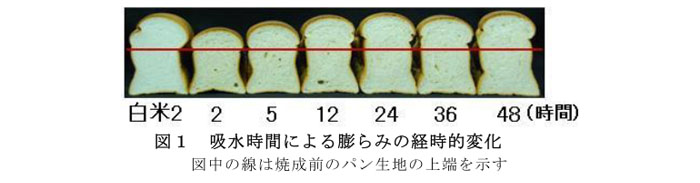 図1 吸水時間による膨らみの経時的変化