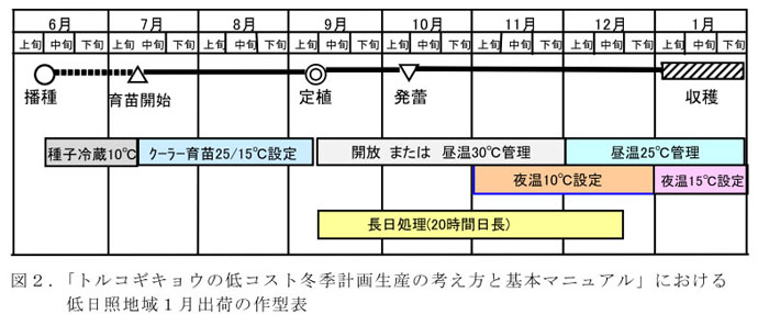 「トルコギキョウの低コスト冬季計画生産の考え方と基本マニュアル」における低日照地域1月出荷の作型表