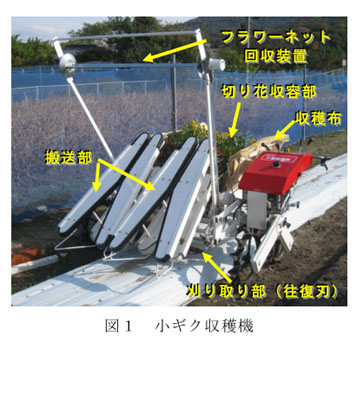 図1 小ギク収穫機