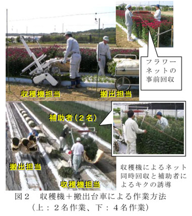 図2 収穫機+搬出台車による作業方法