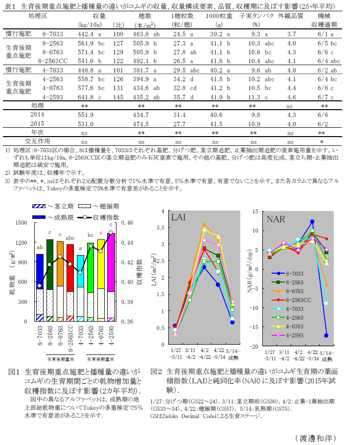 表1 生育後期重点施肥と播種量の違いがコムギの収量、収量構成要素、品質、収穫期に及ぼす影響(2か年平均)?図1 生育後期重点施肥と播種量の違いがコムギの生育期間ごとの乾物増加量と収穫指数に及ぼす影響(2カ年平均).?図2 生育後期重点施肥と播種量の違いがコムギ生育期の葉面積指数(LAI)と純同化率(NAR)に及ぼす影響(2015年試験)