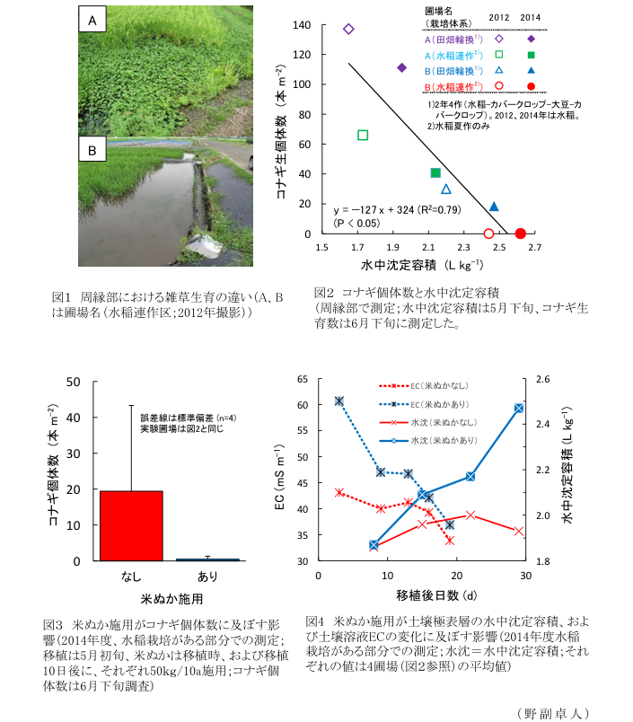 図1 周縁部における雑草生育の違い(A、B は圃場名(水稲連作区?2012年撮影))?図2 コナギ個体数と水中沈定容積(周縁部で測定?水中沈定容積は5月下旬、コナギ生育数は6月下旬に測定した。?図3 米ぬか施用がコナギ個体数に及ぼす影響(2014年度、水稲栽培がある部分での測定?移植は5月初旬、米ぬかは移植時、および移植10日後に、それぞれ50kg/10a施用?コナギ個体数は6月下旬調査)?図4 米ぬか施用が土壌極表層の水中沈定容積、および土壌溶液ECの変化に及ぼす影響(2014年度水稲栽培がある部分での測定?水沈=水中沈定容積?それぞれの値は4圃場(図2参照)の平均値)