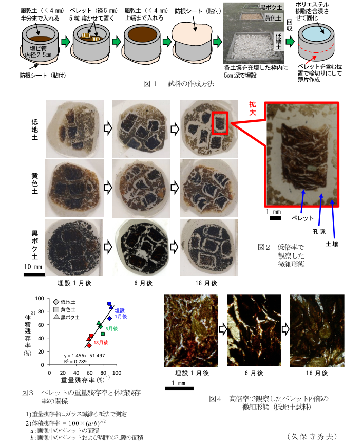 図1 試料の作成方法?図2 低倍率で観察した微細形態?図3 ぺレットの重量残存率と体積残存率の関係?図4 高倍率で観察したペレット内部の微細形態(低地土試料)