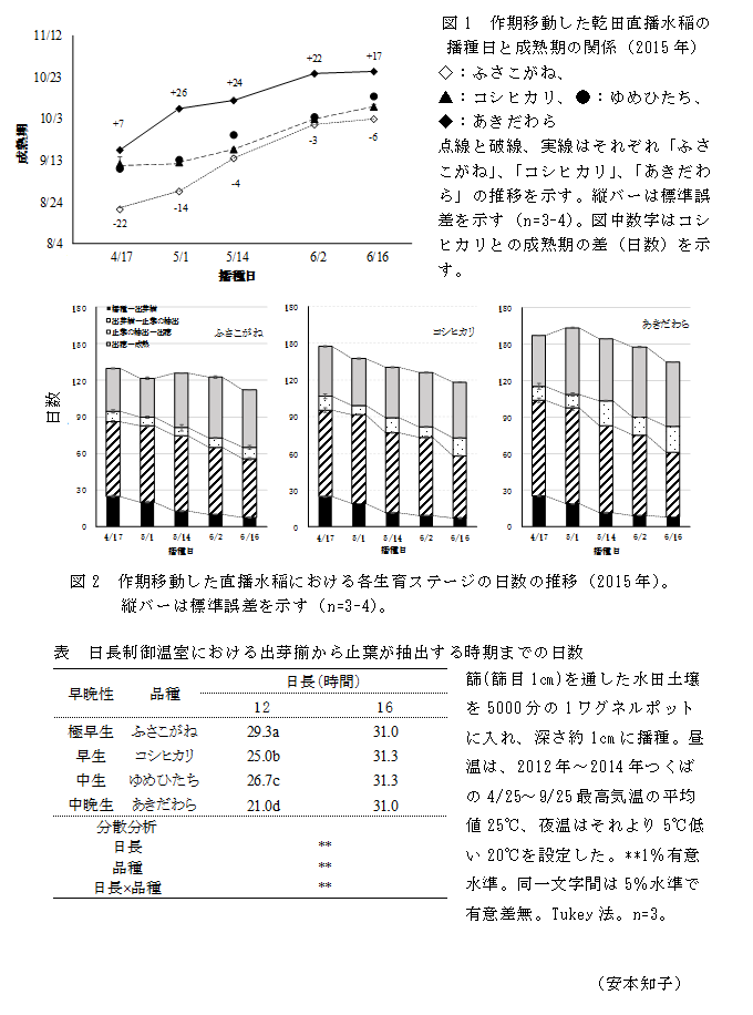 図1 作期移動した乾田直播水稲の播種日と成熟期の関係(2015年);図2 作期移動した直播水稲における各生育ステージの日数の推移(2015年);