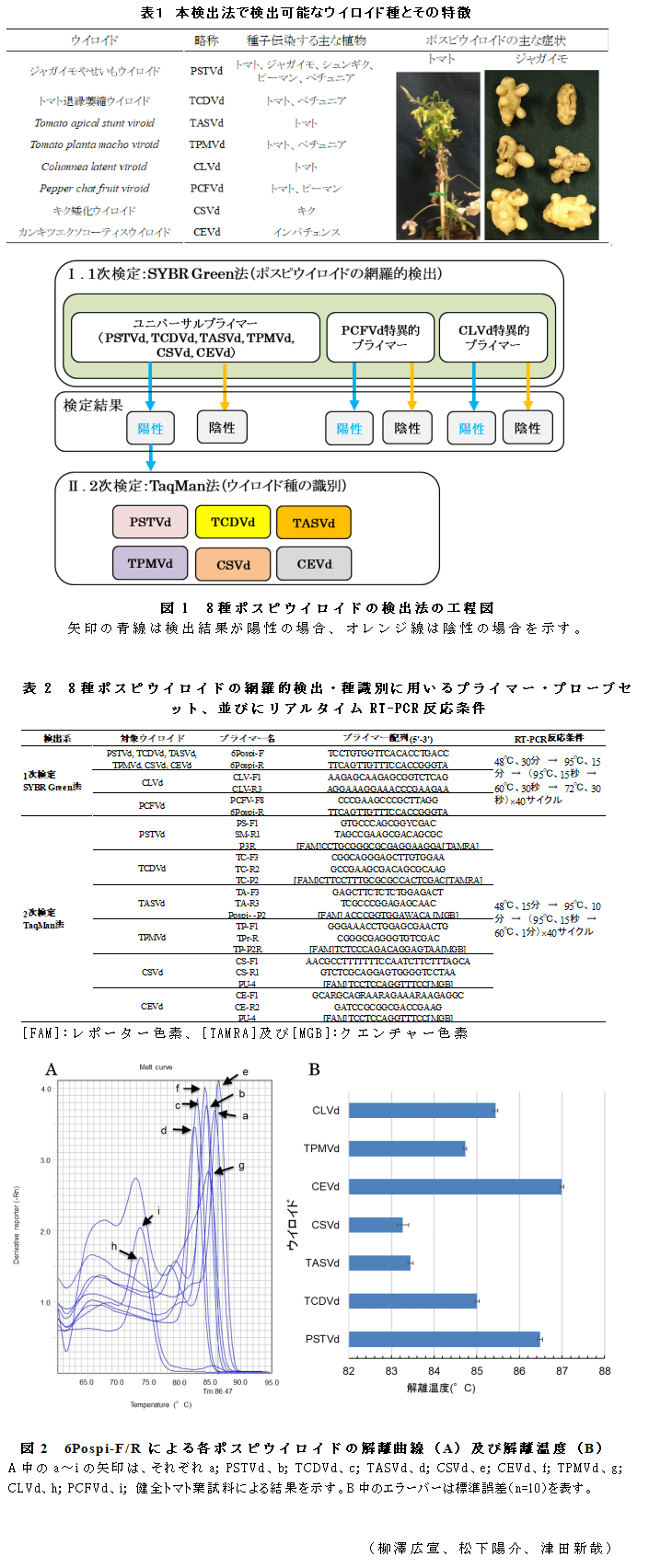 表1 本検出法で検出可能なウイロイド種とその特徴;図1 8種ポスピウイロイドの検出法の工程図;表2 8種ポスピウイロイドの網羅的検出・種識別に用いるプライマー・プローブセット、並びにリアルタイムRT-PCR反応条件;図2 6Pospi-F/Rによる各ポスピウイロイドの解離曲線(A)及び解離温度(B)