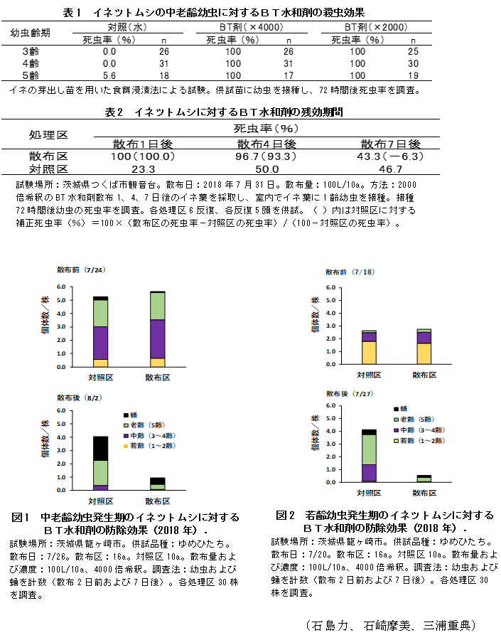 表1 イネツトムシの中老齢幼虫に対するBT水和剤の殺虫効果,表2 イネツトムシに対するBT水和剤の残効期間,図1 中老齢幼虫発生期のイネツトムシに対するBT水和剤の防除効果(2018年).,図2 若齢幼虫発生期のイネツトムシに対するBT水和剤の防除効果(2018年).