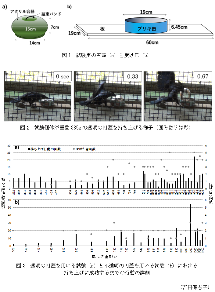 図1 試験用の円蓋(a)と受け皿(b),図2 試験個体が重量985gの透明の円蓋を持ち上げる様子(囲み数字は秒),図3 透明の円蓋を用いる試験(a)と不透明の円蓋を用いる試験(b)における持ち上げに成功するまでの行動の詳細