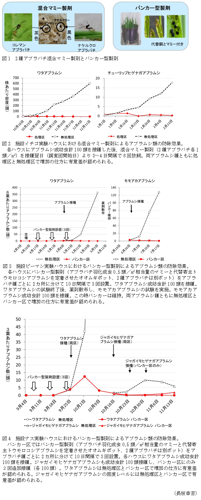 図1 2種アブラバチ混合マミー製剤とバンカー型製剤,図2 施設イチゴ実験ハウスにおける混合マミー製剤によるアブラムシ類の防除効果,図3 施設ピーマン実験ハウスにおけるバンカー型製剤によるアブラムシ類の防除効果,図4 施設ナス実験ハウスにおけるバンカー型製剤によるアブラムシ類の防除効果