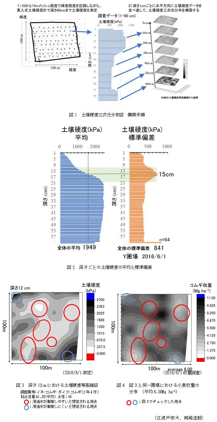 図1 土壌硬度三次元分布図 構築手順,図2 深さごとの土壌硬度の平均と標準偏差,図3 深さ12cmにおける土壌硬度等高線図,図4 図3と同一圃場における小麦収量の分布 (平均6.00Mg ha-1)