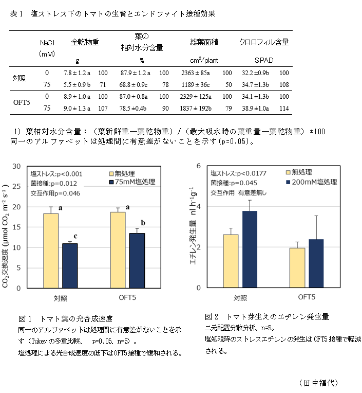 表1 塩ストレス下のトマトの生育とエンドファイト接種効果,図1 トマト葉の光合成速度,図2 トマト芽生えのエチレン発生量