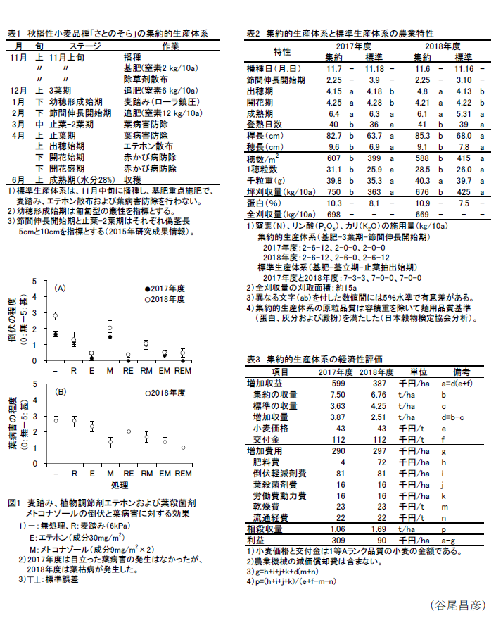 表1 秋播性小麦品種「さとのそら」の集約的生産体系,表2 集約的生産体系と標準的生産体系の農業特性,図1 麦踏み、植物調節剤エテホンおよび葉殺剤メトコナゾールの倒状と葉病害に対する効果,表3 集約的生産体系の経済性評価