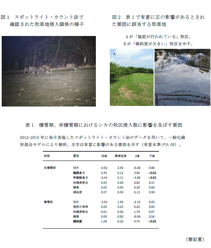 図1 スポットライト・カウント法で確認された牧草地侵入個体の様子,図2 表1で有意に正の影響があるとされた要因に該当する牧草地,表1 積雪期、非積雪期におけるシカの牧区侵入数に影響を及ぼす要因