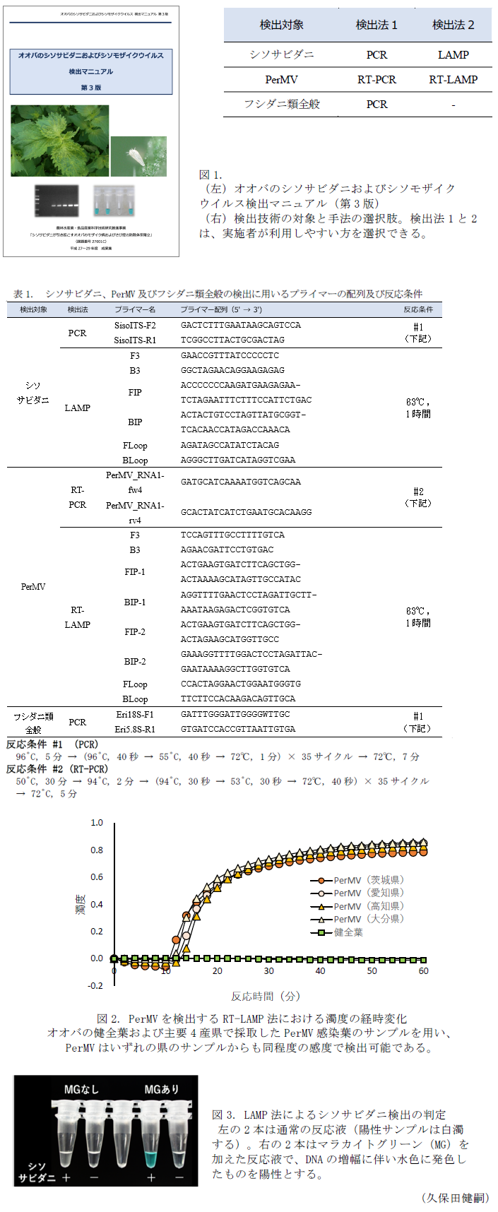 図1 オオバのシソサビダニおよびシソモザイクウイルス(PerMV)検出マニュアル(第2版),表1 シソサビダニ、PerMV及びフシダニ類全般の検出に用いるプライマーの配列及び反応条件,図2 PerMVを検出するRT-LAMP法における濁度の経時変化,図3 LAMP法によるシソサビダニ検出の判定