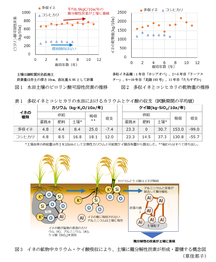 図1 水田土壌のピロリン酸可溶性炭素の推移,図2 多収イネとコシヒカリの乾物重の推移,表1 多収イネとコシヒカリの水田におけるカリウムとケイ酸の収支(試験期間の平均値),図3 イネの鉱物中カリウム・ケイ酸吸収により、土壌に難分解性炭素が形成・蓄積する概念図