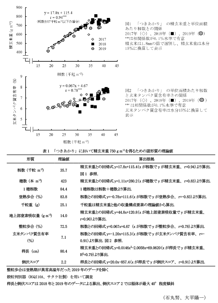 図1 「つきあかり」の精玄米重と単位面積あたり籾数との関係,図2 「つきあかり」の単位面積あたり籾数と玄米タンパク質含有率との関係,表1 「つきあかり」 において精玄米重750 g m-2を得るための諸形質の理論値