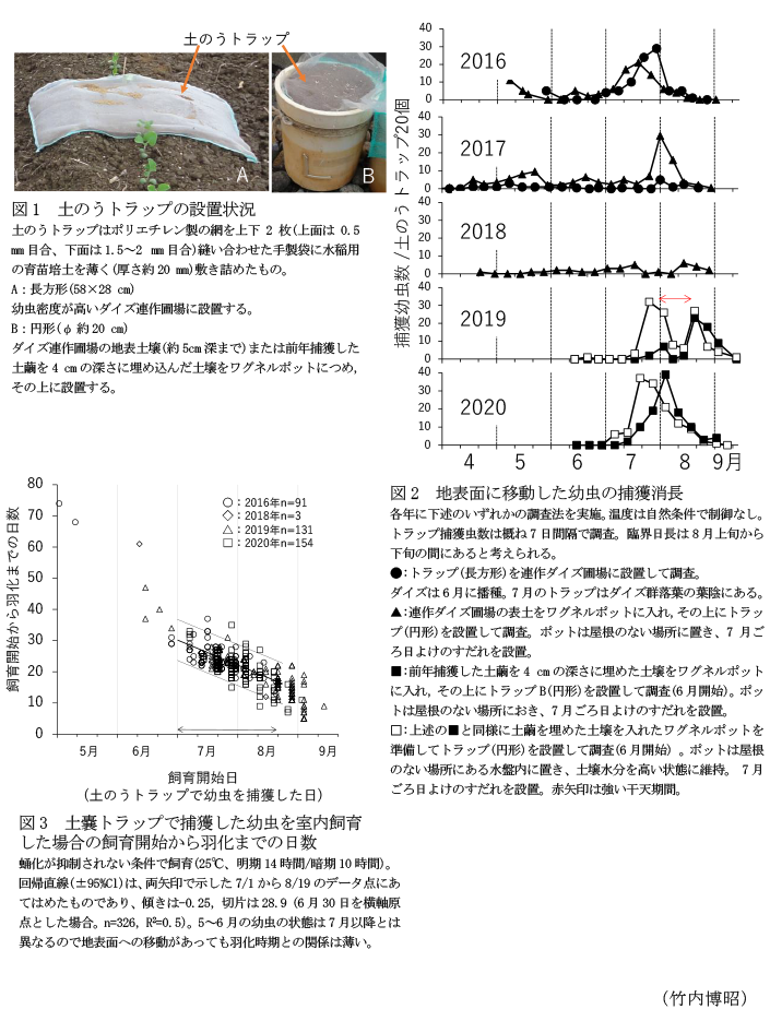 図1 土のうトラップの設置状況,図2 地表面に移動した幼虫の捕獲消長,図3 土嚢トラップで捕獲した幼虫を室内飼育した場合の飼育開始から羽化までの日数