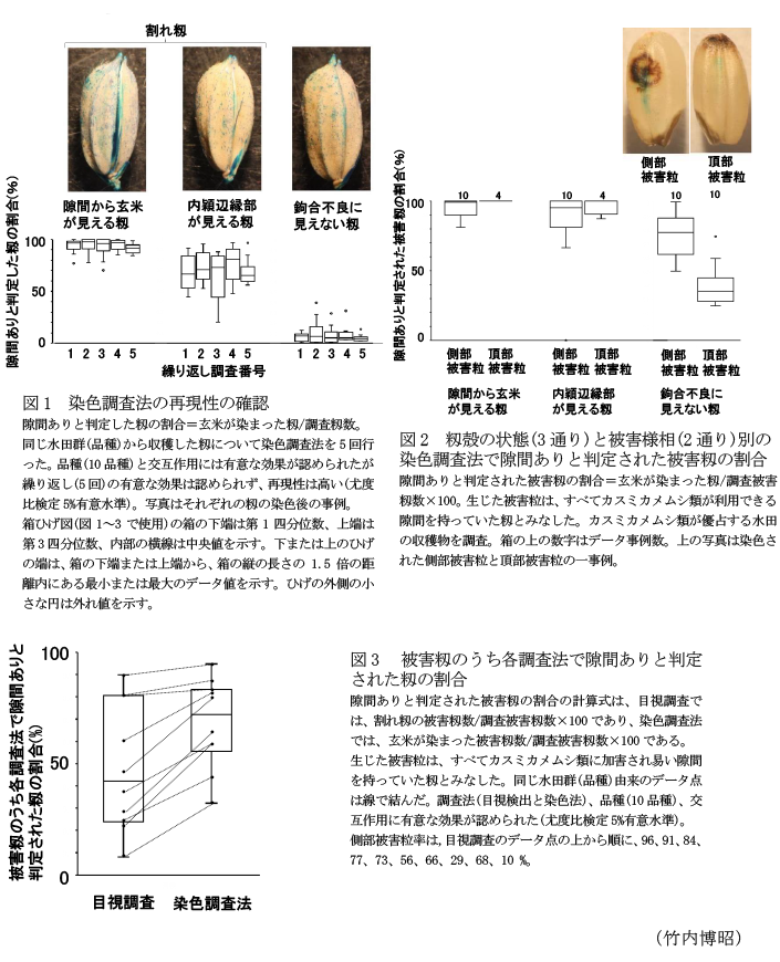 図1  染色調査法の再現性の確認,図2  籾殻の状態(3通り)と被害様相(2通り)別の染色調査法で隙間ありと判定された被害籾の割合,図3  被害籾のうち各調査法で隙間ありと判定された籾の割合