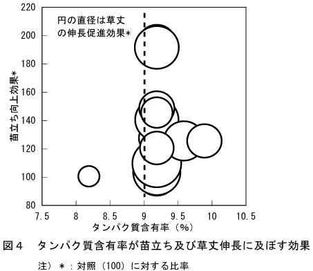 図4.タンパク質含有率が苗立ち及び草丈伸長に及ぼす効果