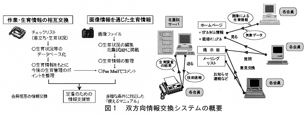 図1.双方向情報交換システムの概要