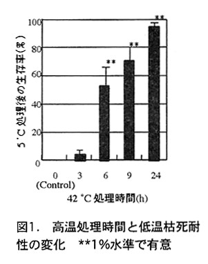 図1.高温処理時間と定温枯死耐性の変化