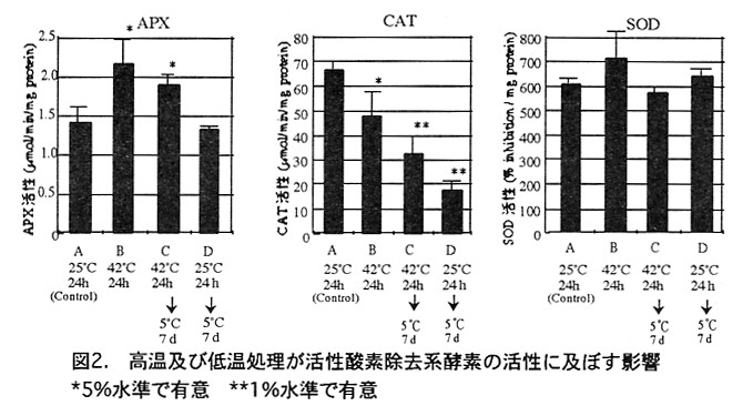 図2.高温及び低温処理が活性酵素除去系酵素の活性に及ぼす影響