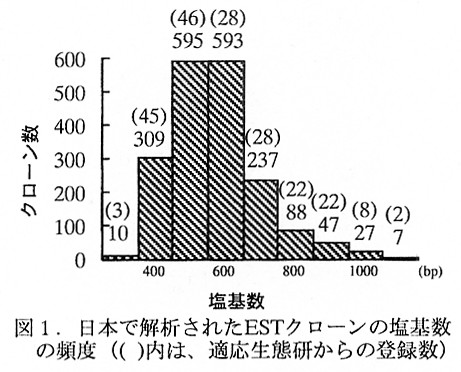 図1.日本で解析されたESTクローンの塩基数の頻度