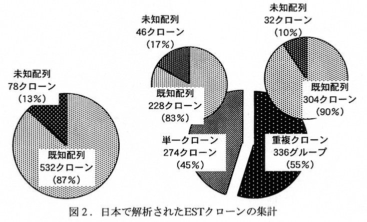 図2.日本で解析されたESTクローンの集計