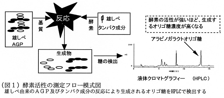 図1.酵素活性の測定フロー模式図