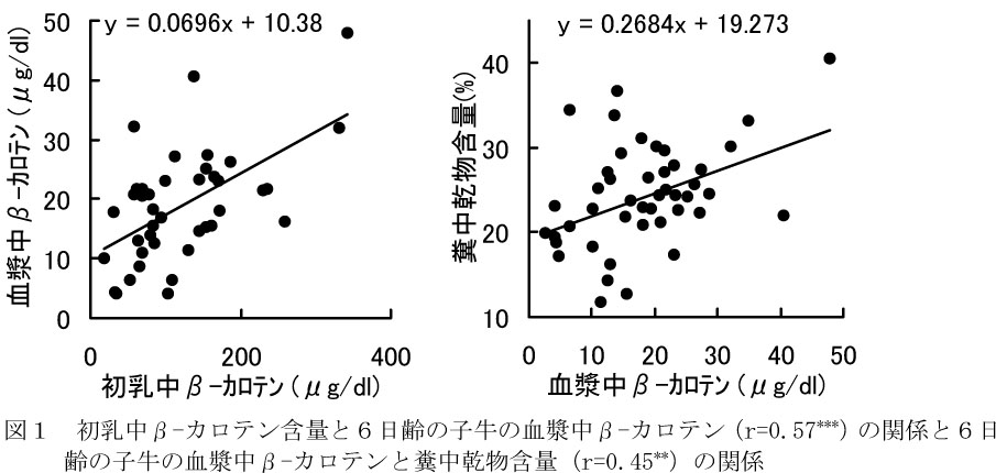 図1.初乳中β-カロテン含量と6日齢の子牛の血漿中β-カロテンの関係と6日齢の子牛の血漿中β-カロテンと糞中乾物含量の関係