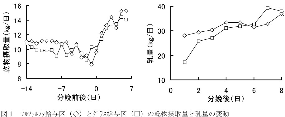 図1.アルファルファ給与区とグラス給与区の乾物摂取量と乳量の変動