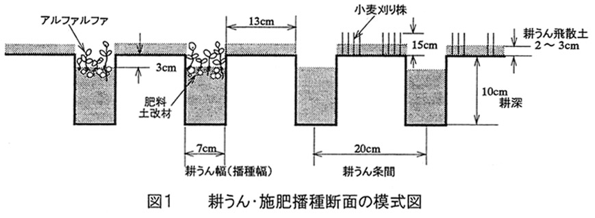 図1.耕うん・施肥播種断面の模式図