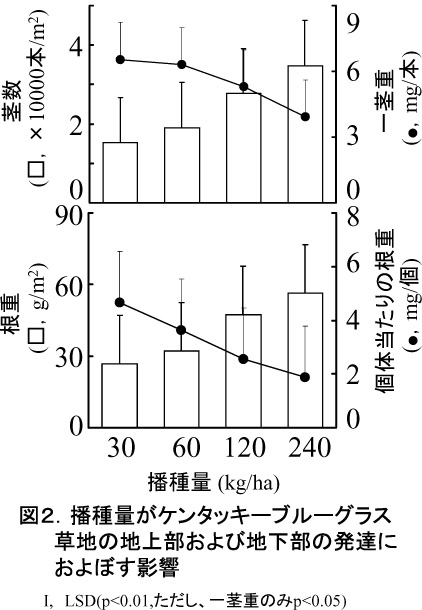 図2.播種量がケンタッキーブルーグラス草地の地上部および地下部の発達におよぼず影響