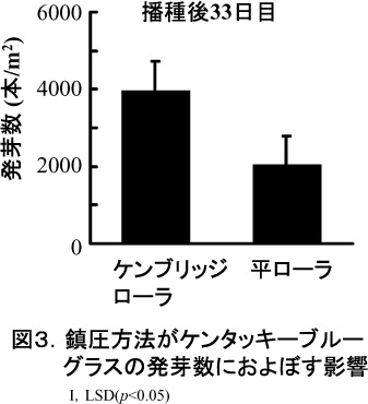 図3.鎮圧方法がケンタッキーブルーグラスの発芽数におよぼす影響