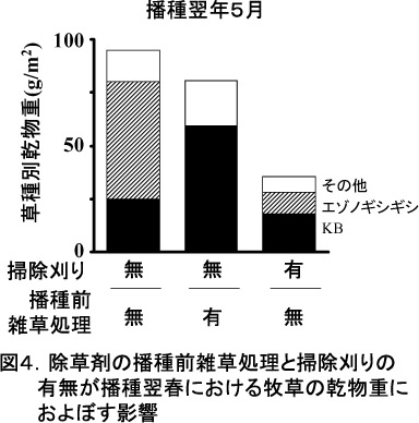 図4.除草剤の播種前雑草処理と掃除刈りの有無が播種翌春における牧草の乾物量におよぼす影響