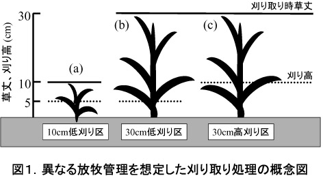 図1.異なる放牧管理を想定した刈り取り処理の概念図