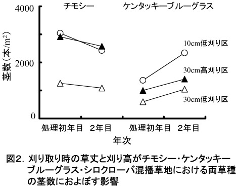 図2.刈り取り時の草丈と刈り高がチモシー・ケンタッキーブルーグラス・シロクローバ根播草地における両草種の茎数におよぼす影響