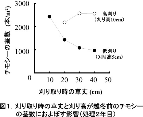 図1.刈り取り時の草丈と刈り高が越冬前のチモシー茎数におよぼす影響