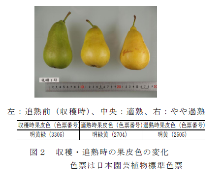 図2 収穫・追熟時の果皮色の変化 色票は日本園芸植物標準色票