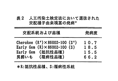 表2 人工汚染土検定法において選抜された交配種子由来塊茎の発病