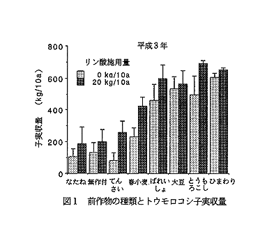 図1 前作物の種類とトウモロコシ子実収量