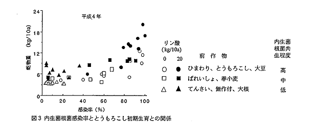 図3 内生菌根菌感染率ととうもろこし初期生育との関係