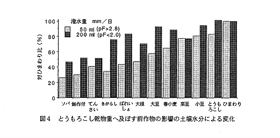 図4 とうもろこし乾物重へ及ぼす前作物の影響の土壌水分による変化