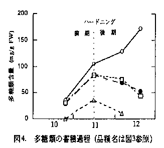 図4.多糖類の蓄積過程