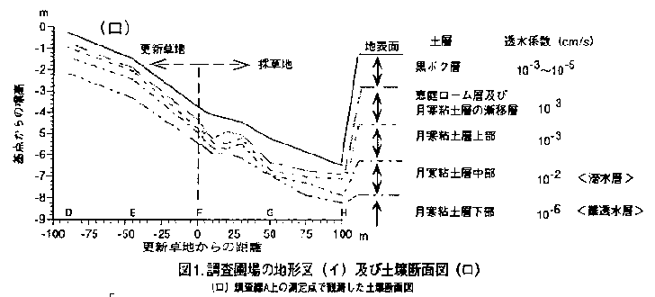 図1.土壌断面図(ロ)