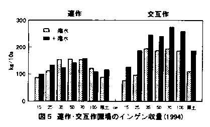 図5.連作・交互作圃場のインゲン収量(1994)